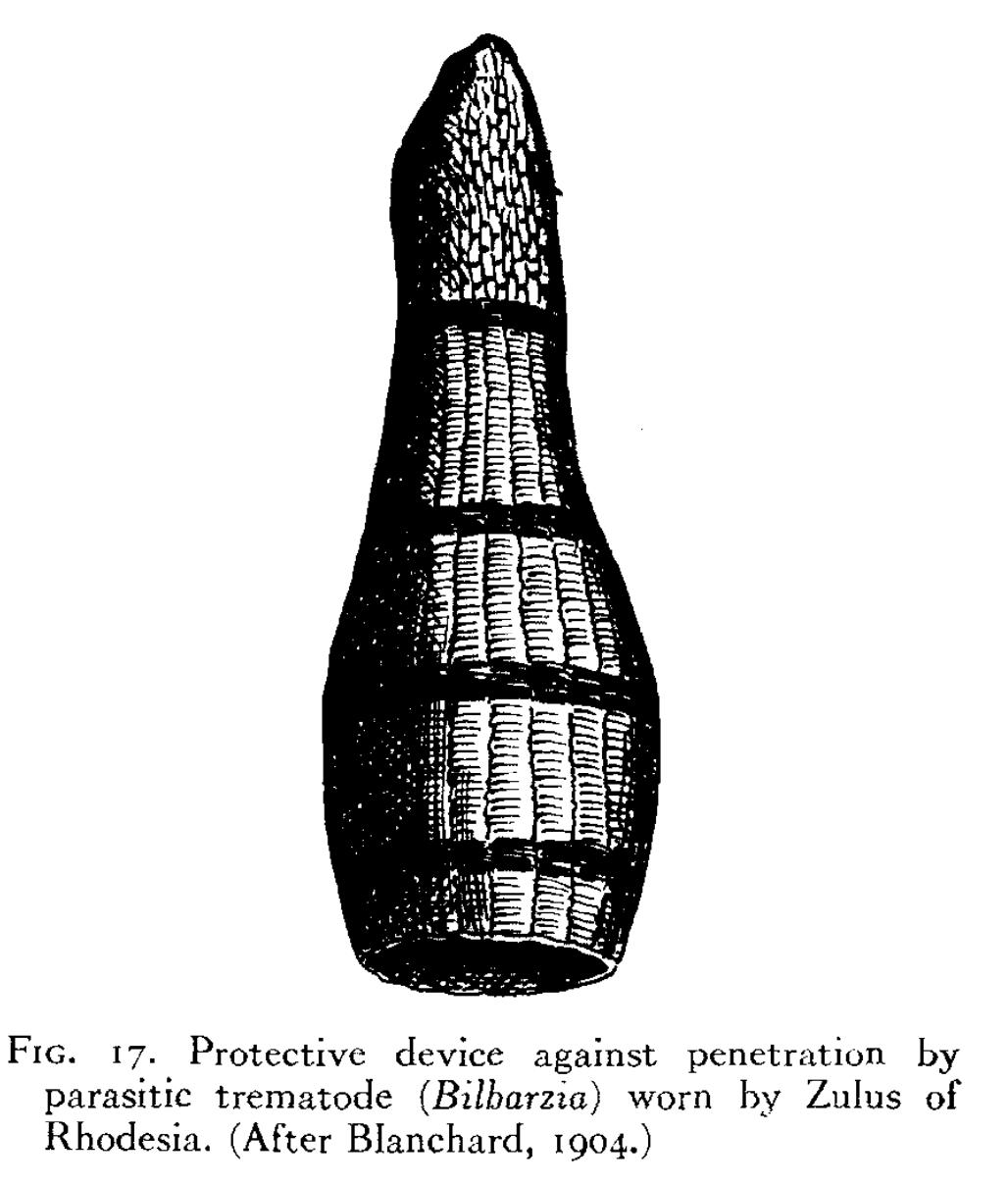 亚马孙河的鱼有哪些,亚马孙河有什么鱼
