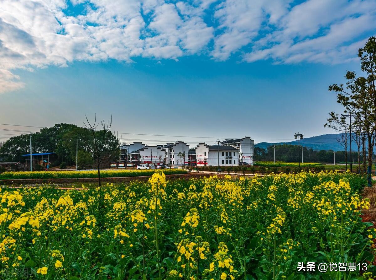 利用人性让公司快速赚钱,利用人性赚钱的真实案例