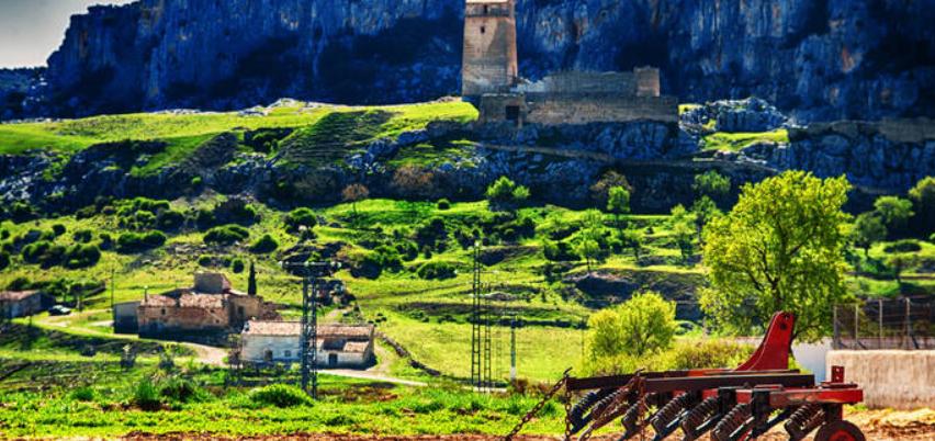 西班牙首相桑切斯正考虑辞职,西班牙首相桑切斯欢迎仪式