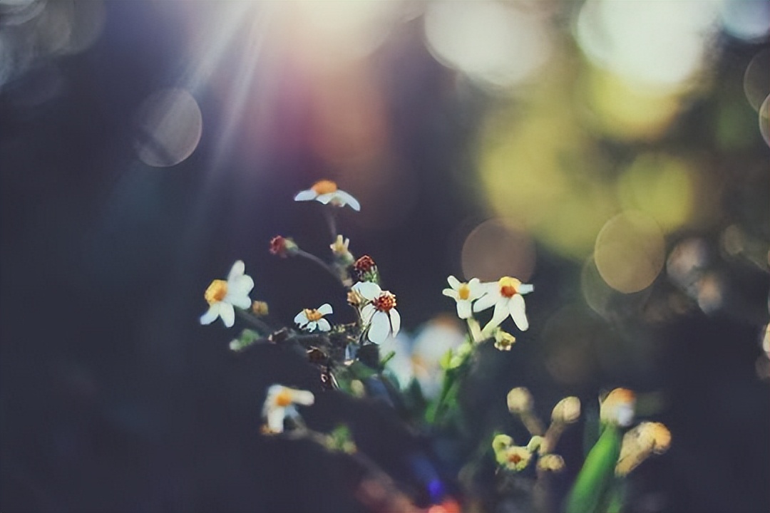 男人对你忽冷忽热但是又不分手,男人对你忽冷忽热女人怎么做