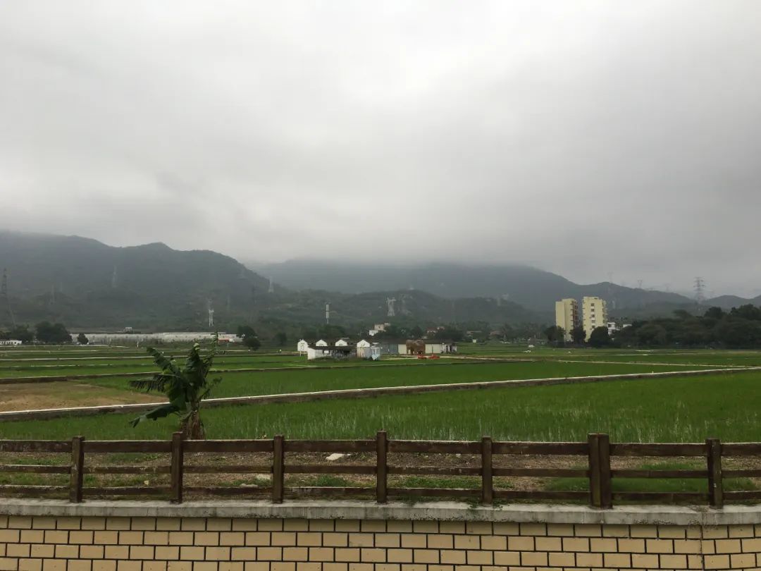 《旭光骑行深圳》第19站——大鹏新区大鹏街道