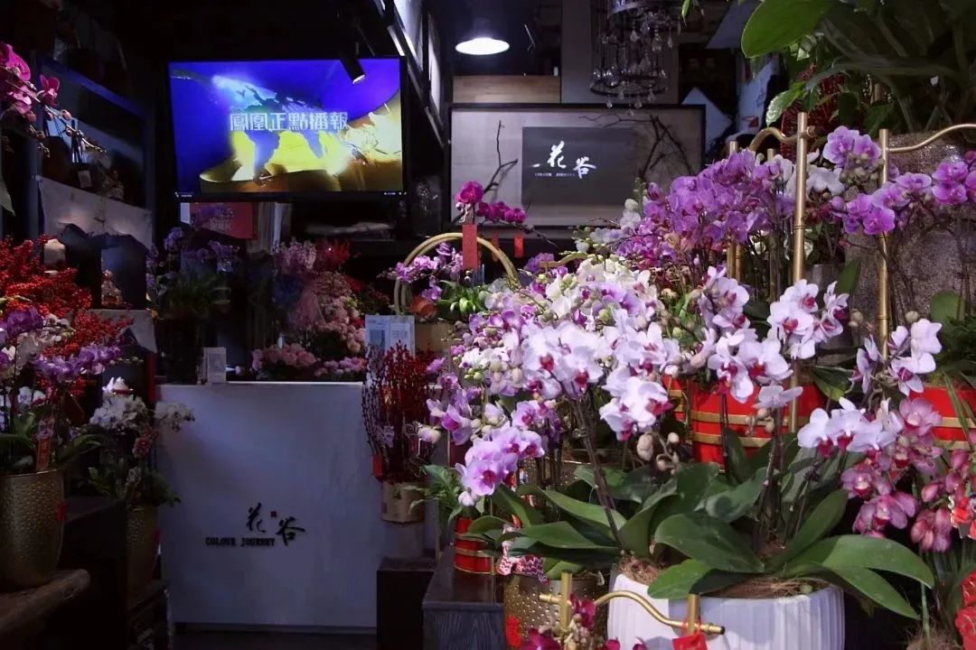 寮曢鑺辫壓娼祦鐨勫崄浜屽鑺卞簵,鏃ユ湰闈掑北鑺卞簵鍟嗕笟妯″紡