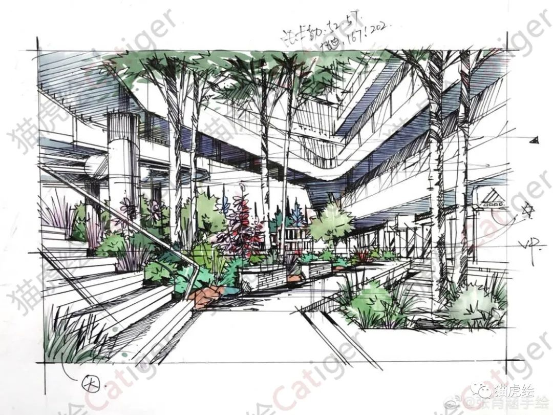 2022猫虎绘暑假手绘班招生简章「线上+线下」