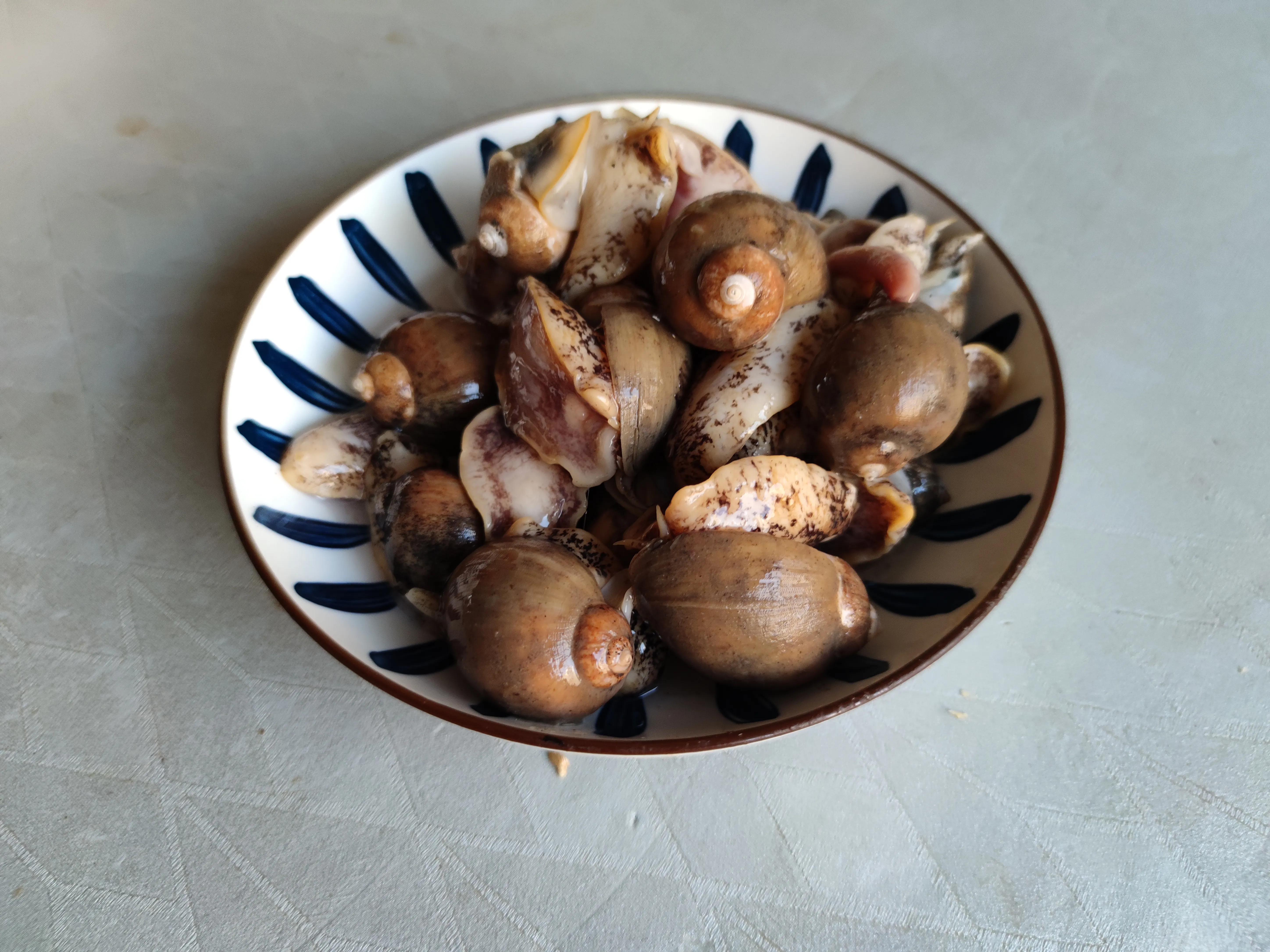 这个季节适合吃的小海鲜,春季肥美的小海鲜