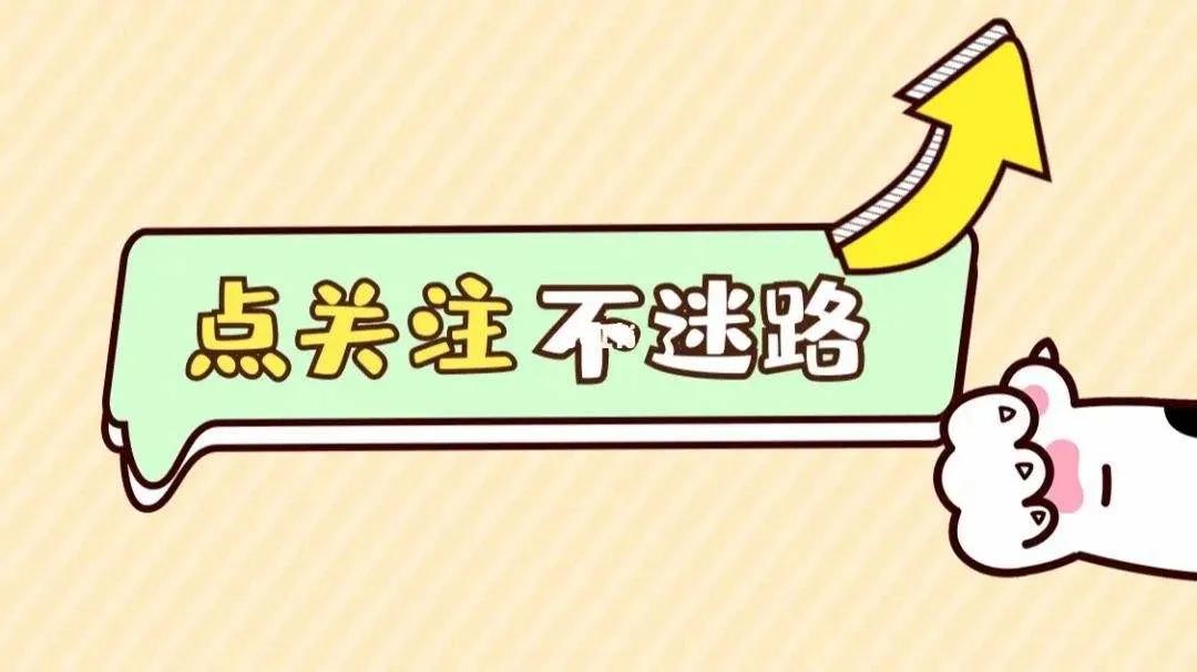 卡塔尔亚洲杯伊朗对伊拉克,篮球世预赛卡塔尔vs伊朗