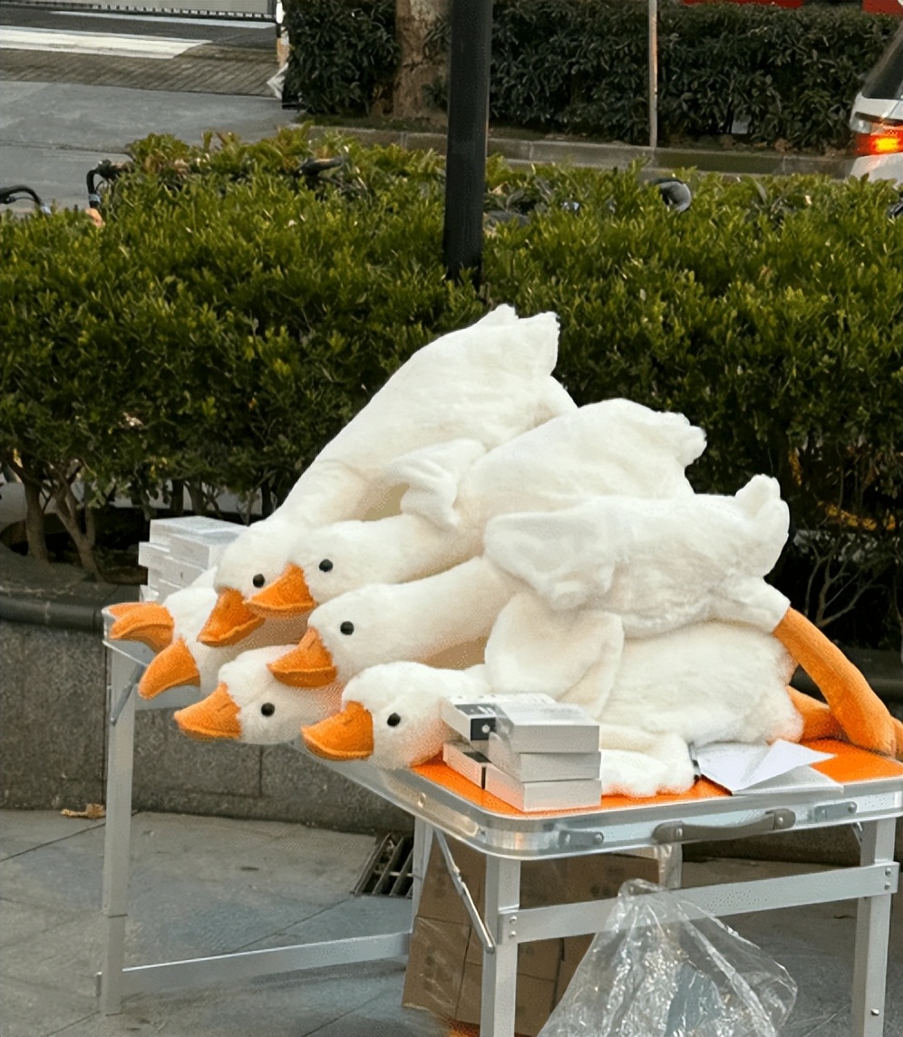 路边扫码领取大白鹅是套路吗,警惕扫码领大鹅