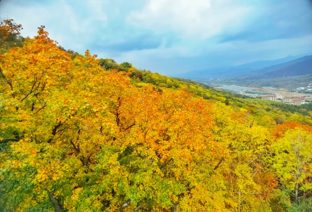 吉林秋景图,吉林秋景美图片