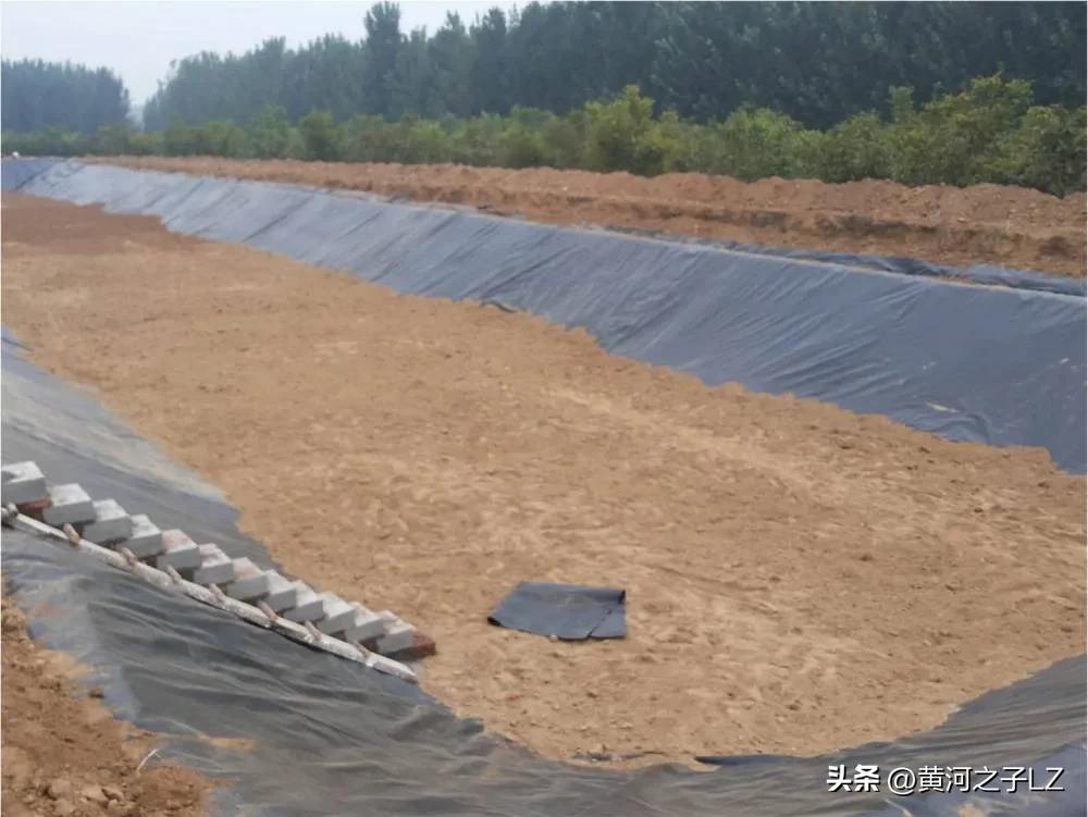 农村项目农民干国家劳务费农民挣，243人分享304万元，点赞榆中县