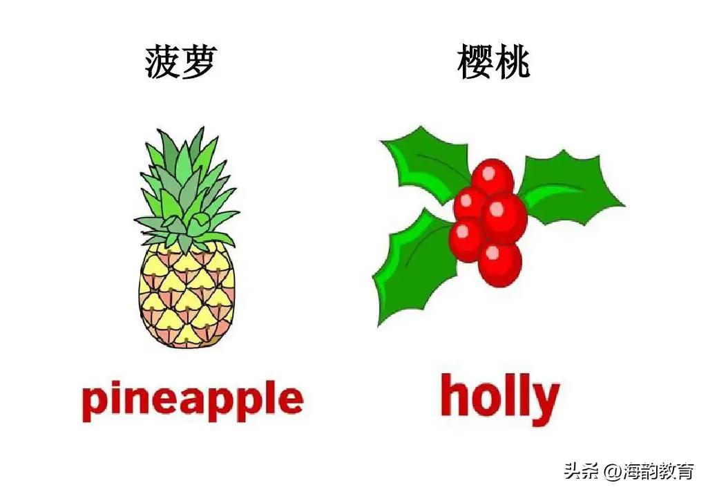 小学英语全部单词分类加音标,小学英语单词和短语分类汇总