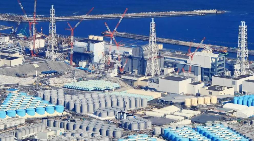 福岛核食物流入我国台湾！日本犯下大错，凭什么让全人类一起承担