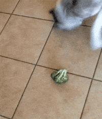 老师上课忘记关投影仪了,女老师上课期间忘记关投影仪