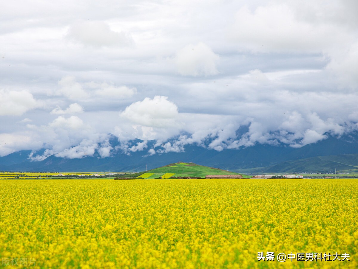 年少伤精过度怎么补救,年少过度透支肾精