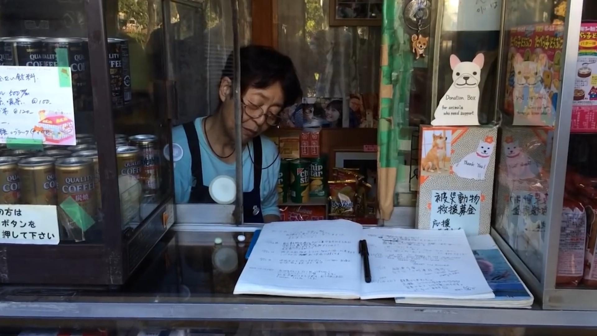柴犬当便利店店员,柴犬开便利店视频