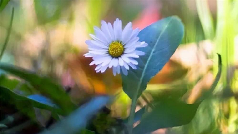 面对瞧不起你的人，最好的反击是这样的