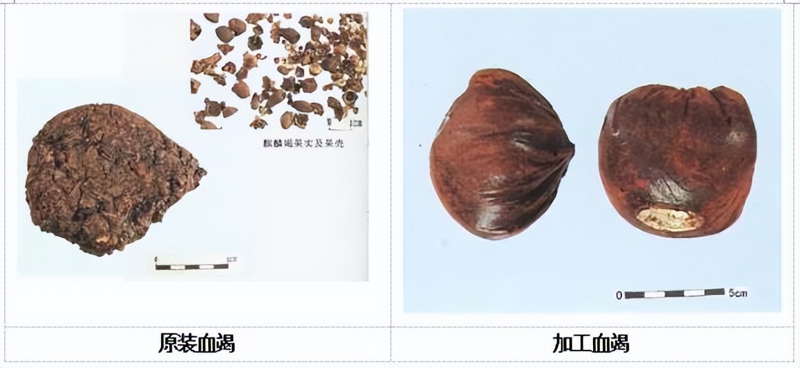 龙血竭和血竭哪个贵,皇冠血竭是龙血竭吗