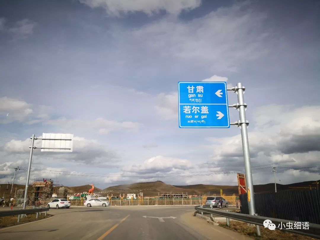 马不停蹄地悠赏之诺尔盖草原