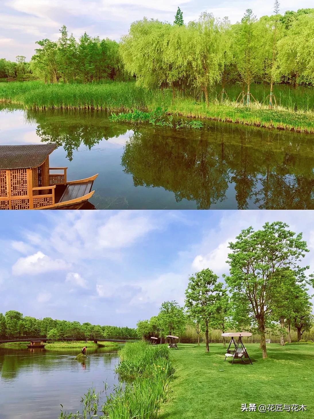 来上海住养云安缦享受园林风光,上海养云安缦剖面图