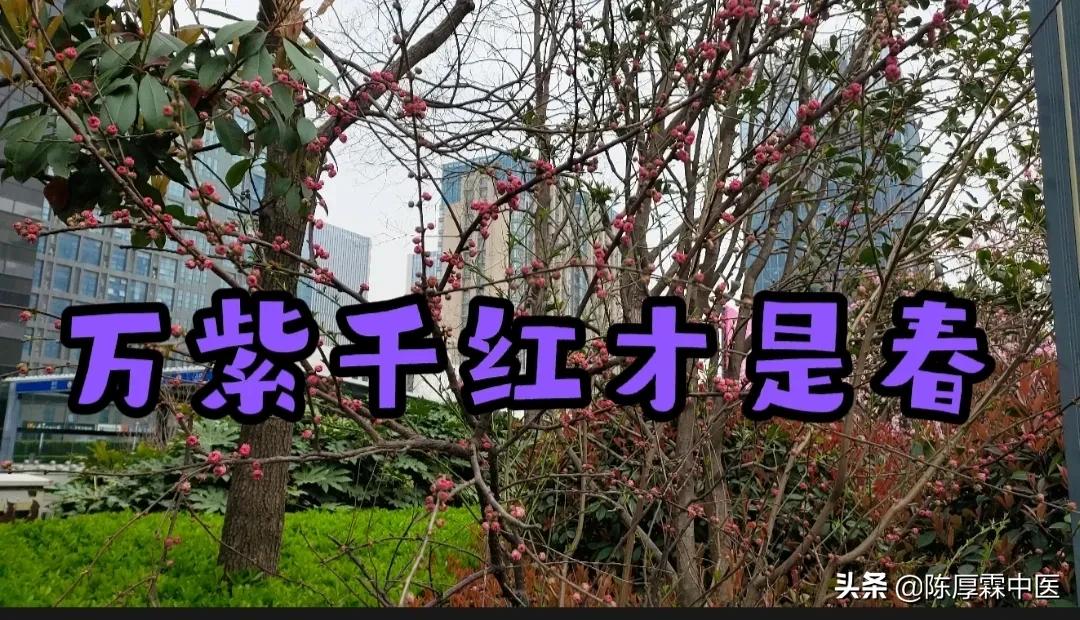 “这病”建议采用民间秘验方治疗——理、法、方、药、效（上集）