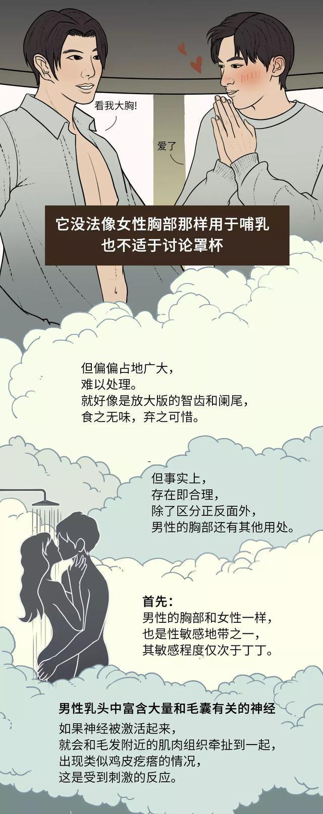 男人的奶头，到底有什么作用？是因为美观吗？很多女生不明白