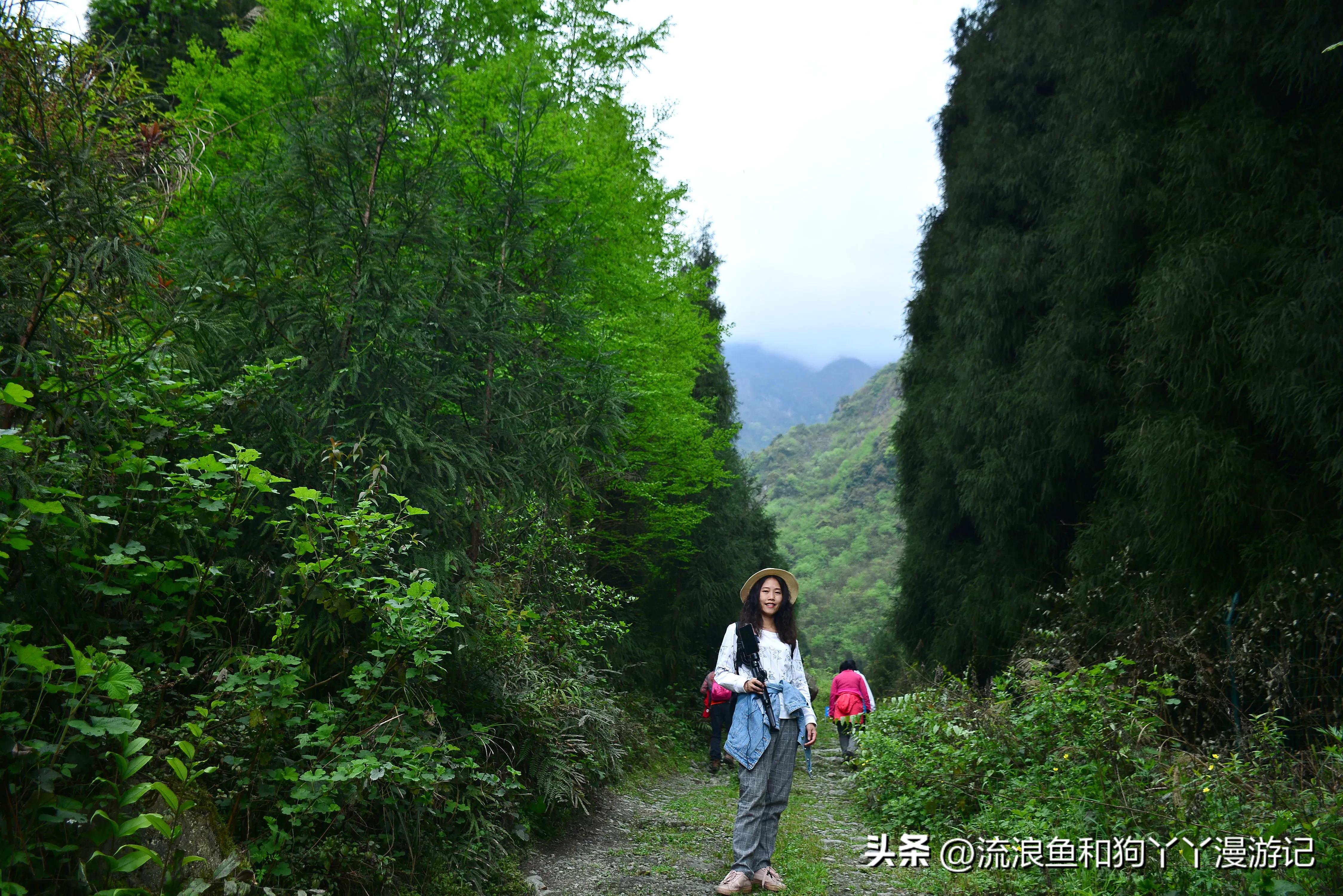 四月份成都近郊一日游好去处,2022成都近郊看雪一日游最佳去处