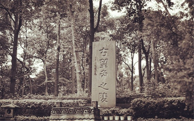 杜鹃鸟鸠占鹊巢是真实的吗,杜鹃鸟鸠占鹊巢同归于尽