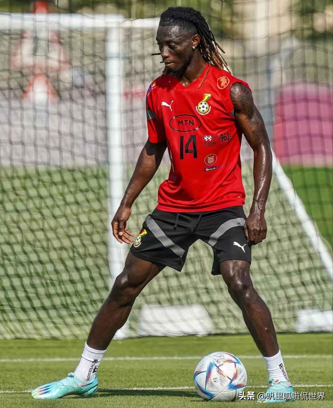 世界杯预测加纳乌拉圭,世界杯预测韩国对加纳