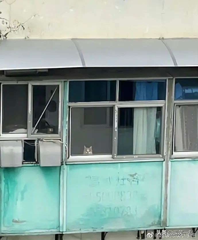 神仙男友的奇葩操作,男友的奇葩脑回路评论区笑不活了