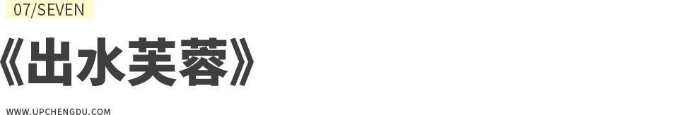 成都向上最新信息,年度向上力量合照