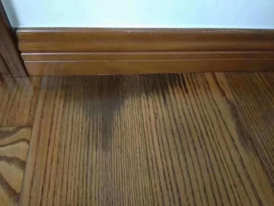 扛起木地板行业售后服务大旗工匠哥有话说