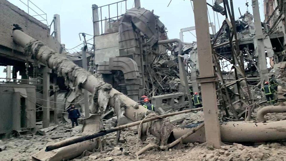 不顾国内缺粮缺电，乌大使催促德快运*器武**，法国人骂泽连斯基愚蠢