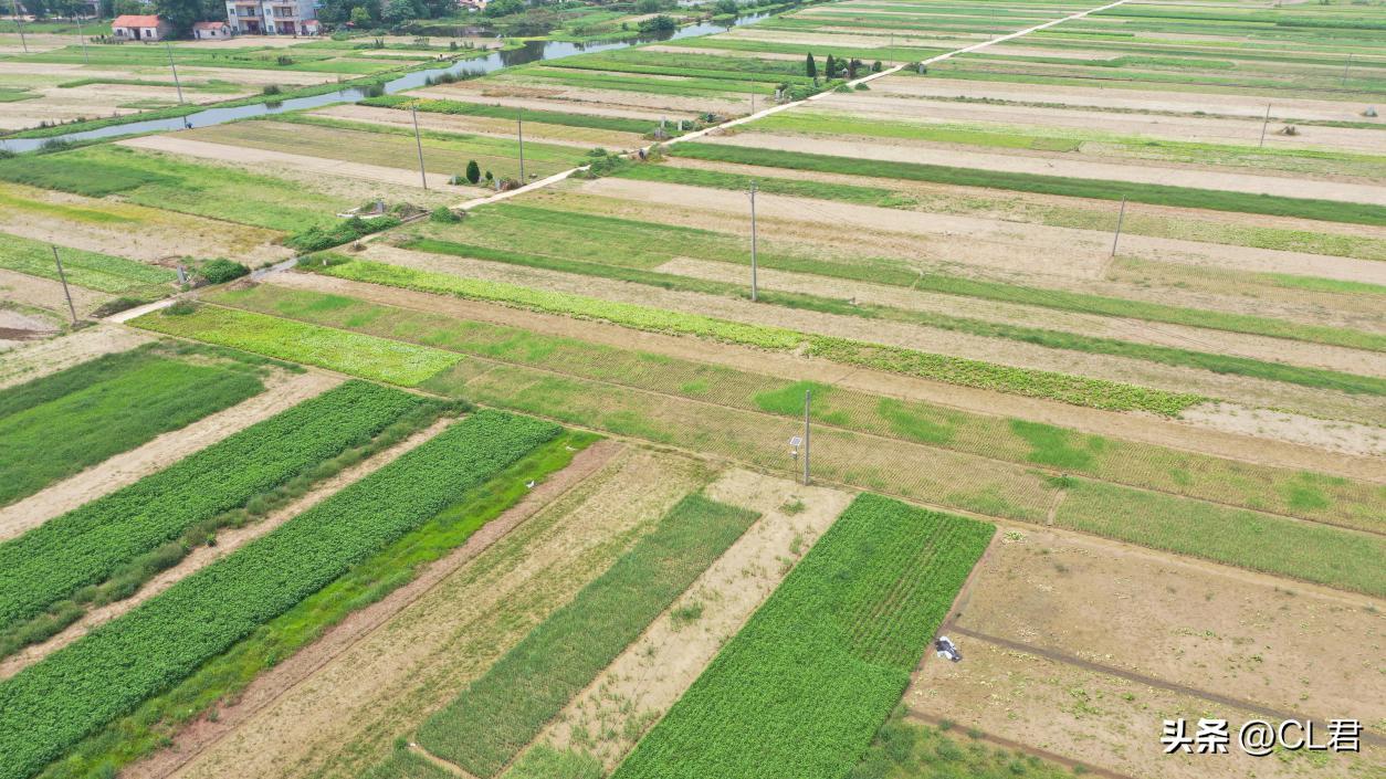 农村土地改革新政策通知,农村土地改革阶段性目标