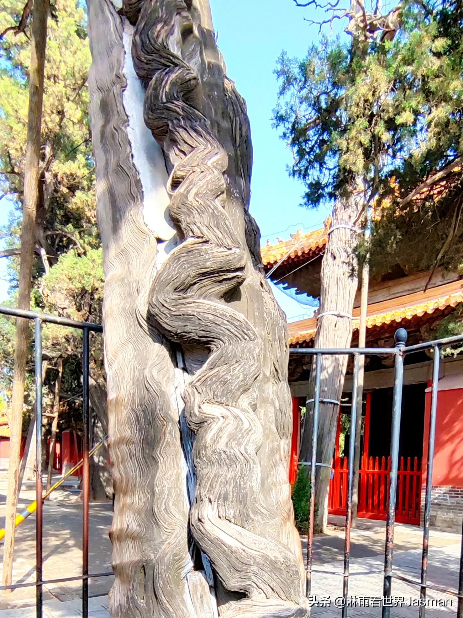 游山东曲阜孔庙，跨越时空，赴一场千年之约