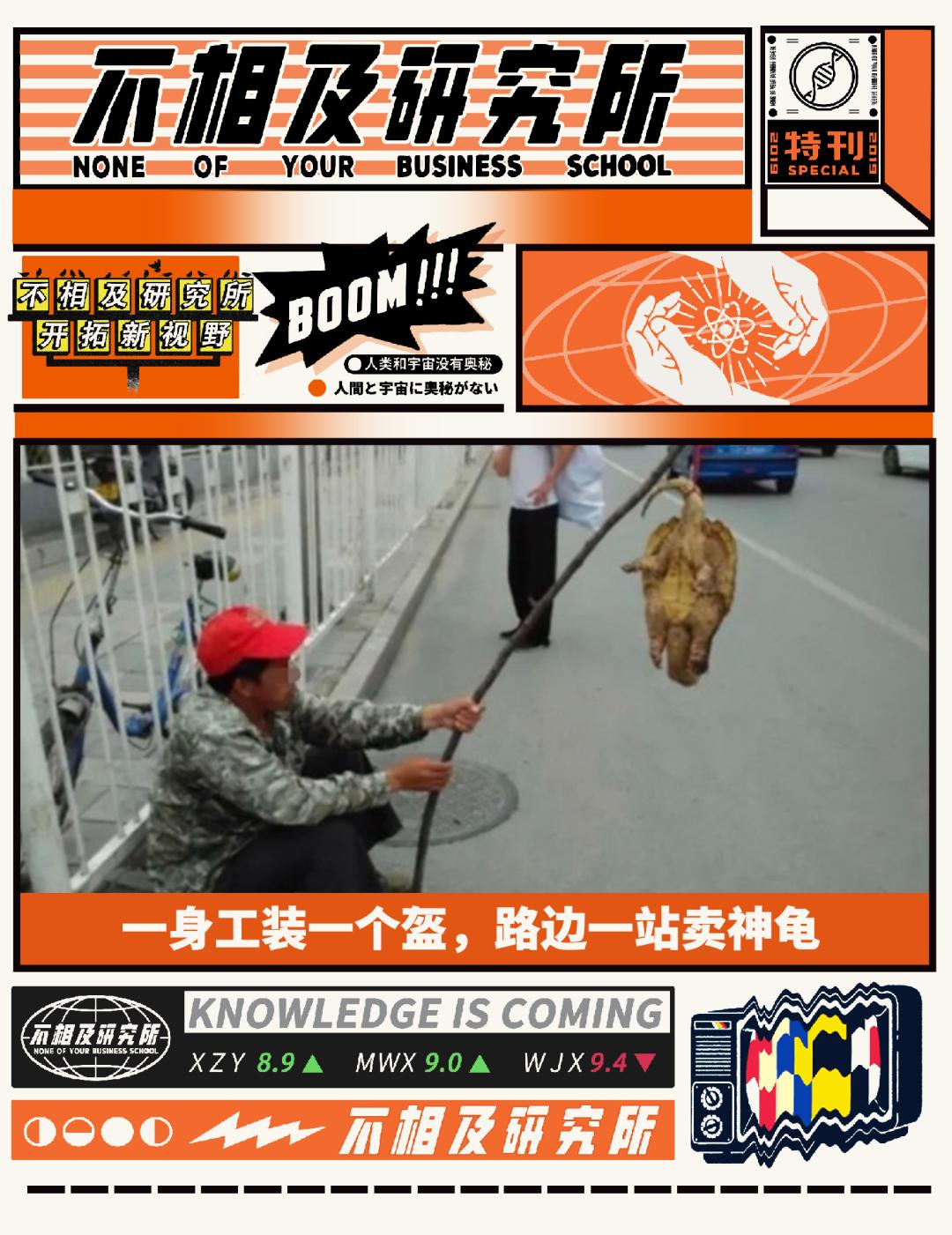 买了一只乌龟有什么预兆,路边800块钱买6只大乌龟