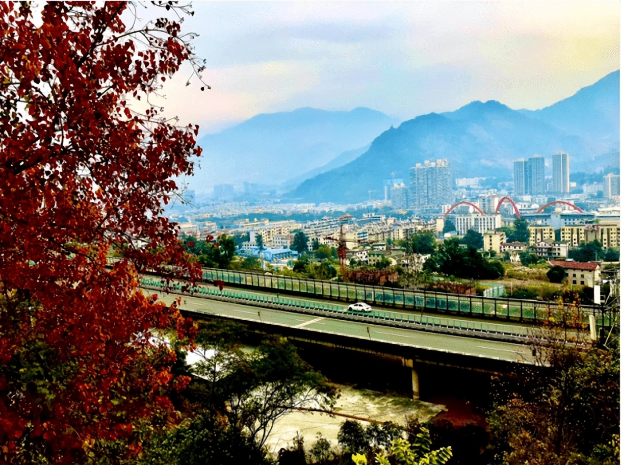 鏁f枃鑸媿,鏁f枃绔欏湪灞遍《閬ユ湜骞冲師