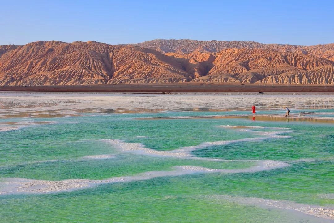 夏天哪里看油菜花最美,夏天去哪里看油菜花最好