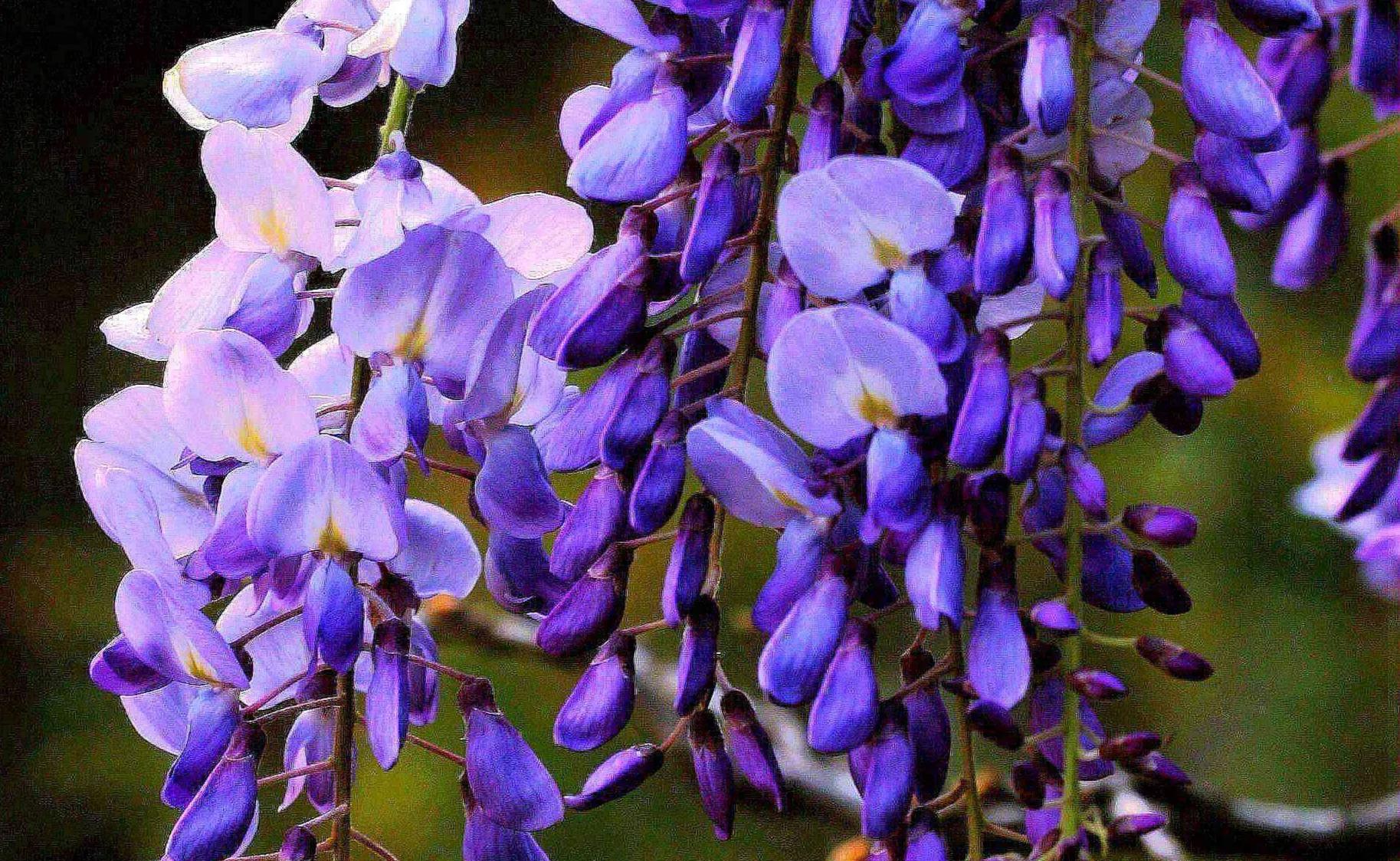 每日一句经典句子简短励志语录,励志语录短句不超过10个字