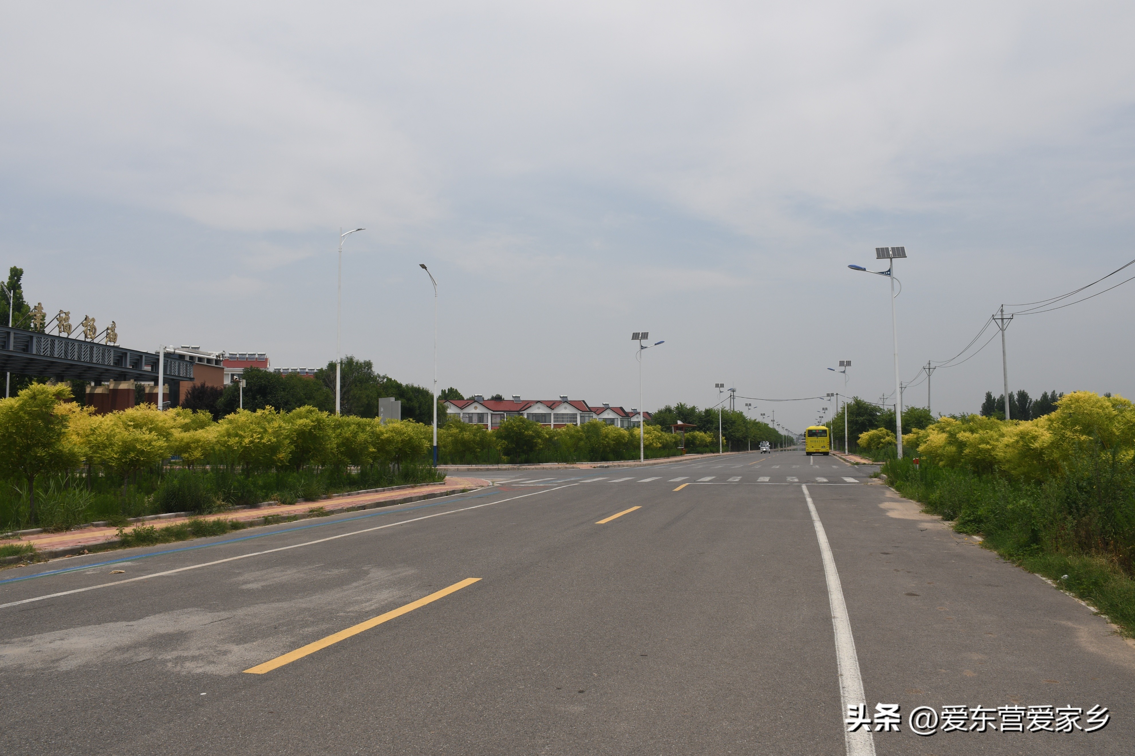 东营区乡村振兴项目,打造四好农村路建设美丽新农村