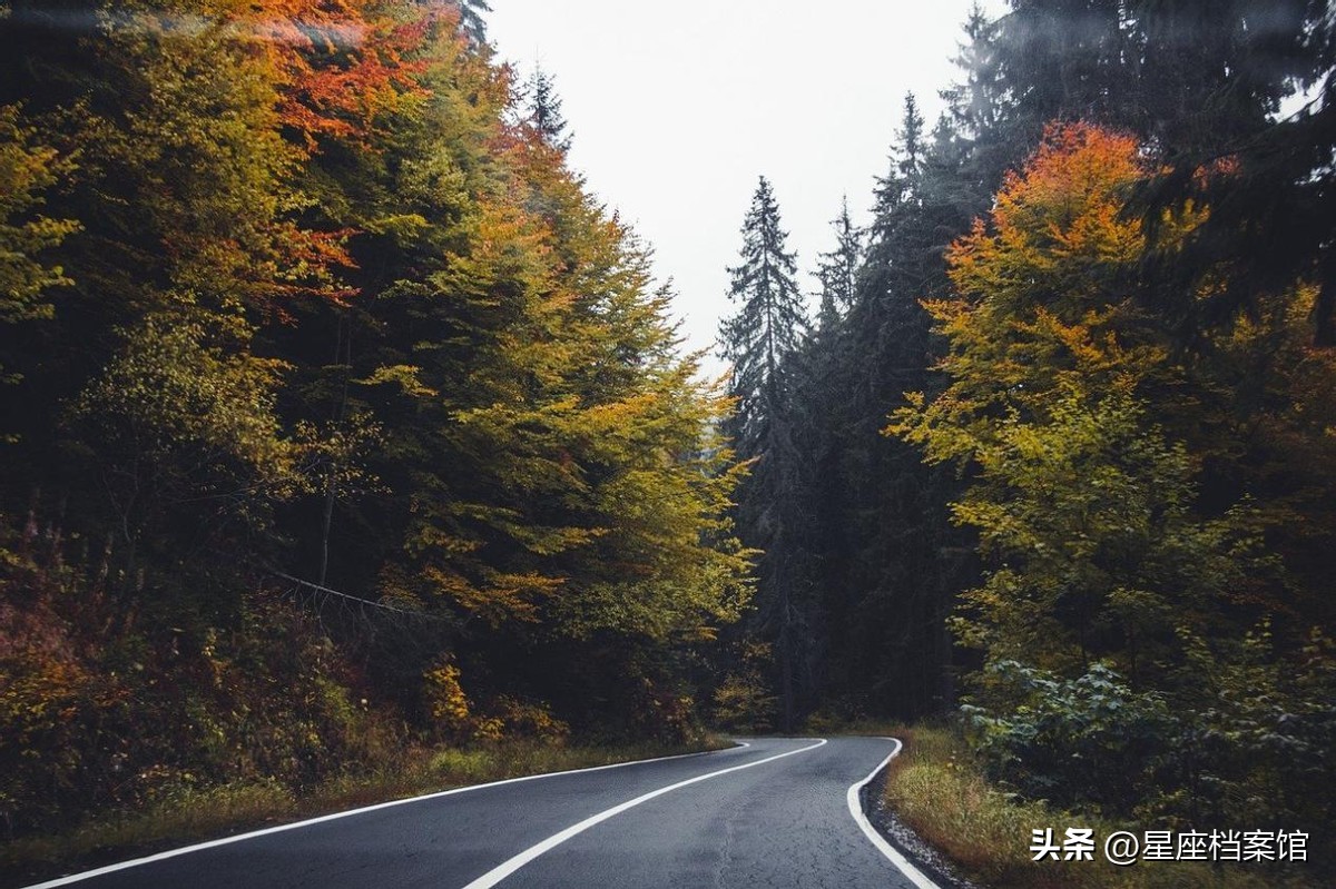 狮子座唯一的致命点就是感情,狮子座的内心的善良