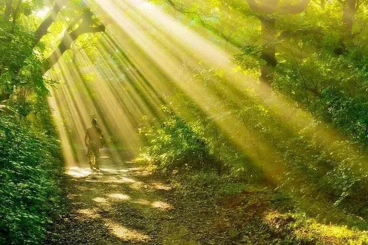 瓷釉漆艺术涂料,专业的瓷釉涂料