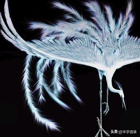 山海经异兽录本命异兽,山海经496个异兽排名榜