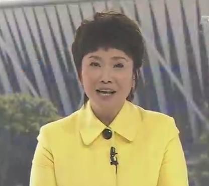 宁辛还在央视吗,主持人宁辛个人简介