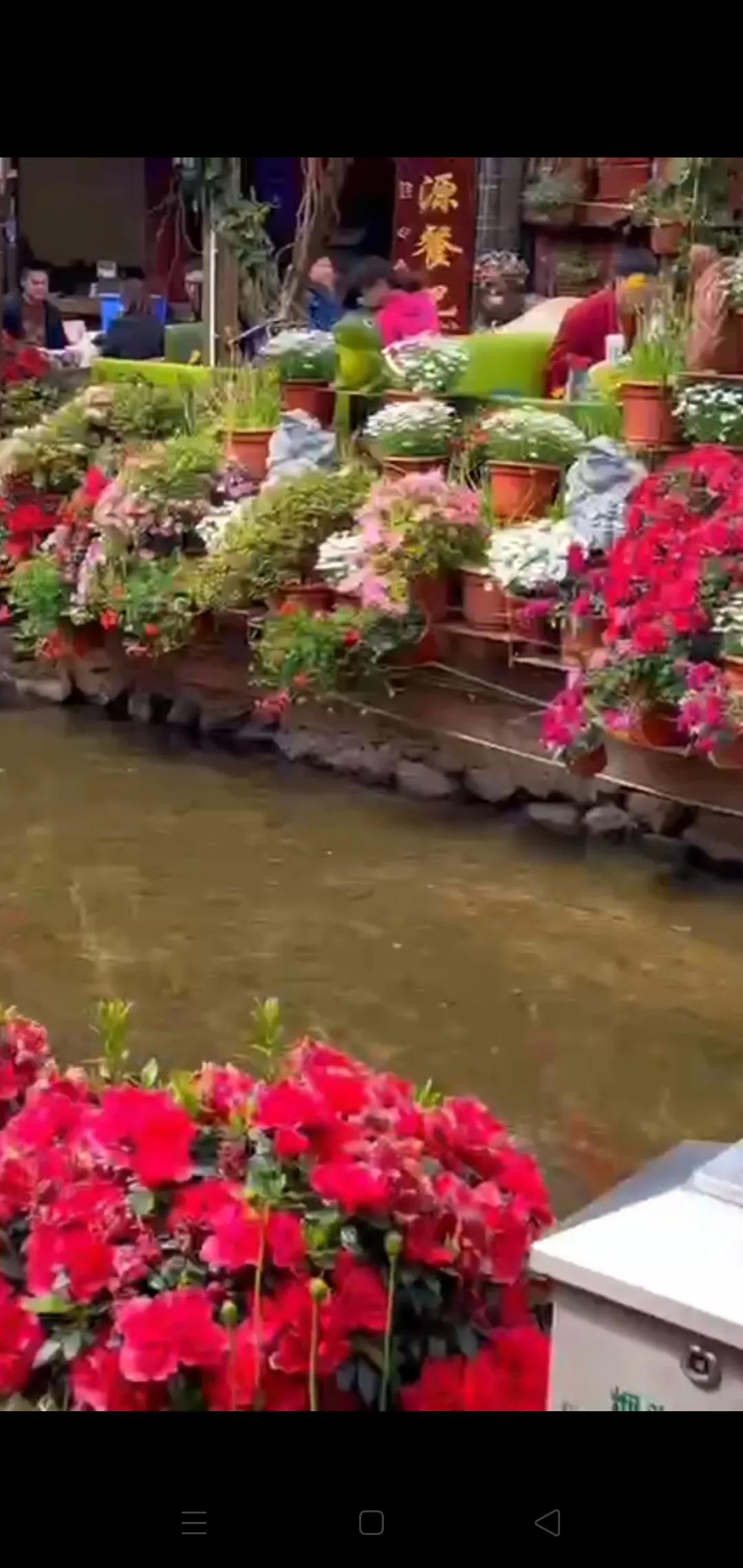 大理之行完整版,大理之行之民族服饰