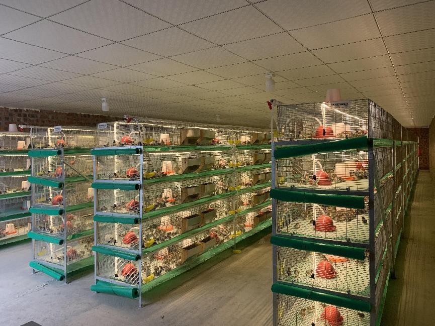 同饮一江水共享南北情,同饮一江水粤桂一家亲