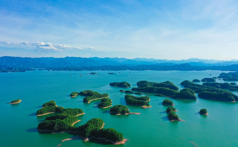 杭州旅游必去十大景点推荐一下,杭州看花好去处杭州网红景点