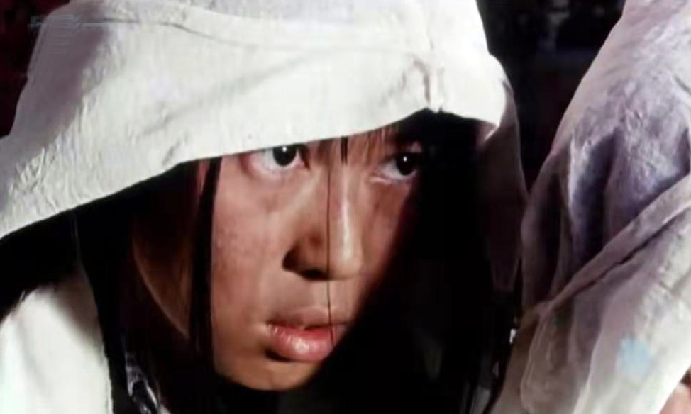 最佳女演员金鸡奖颁奖词,刘晓庆奚美娟金鸡影后