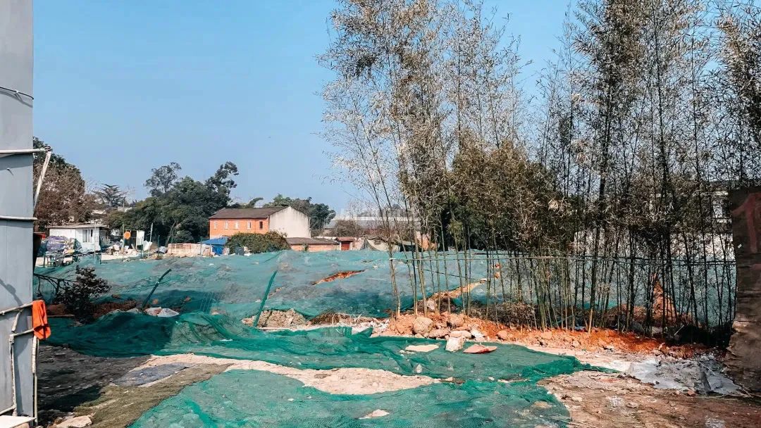 熊猫基地扩建园区,熊猫基地扩建最新