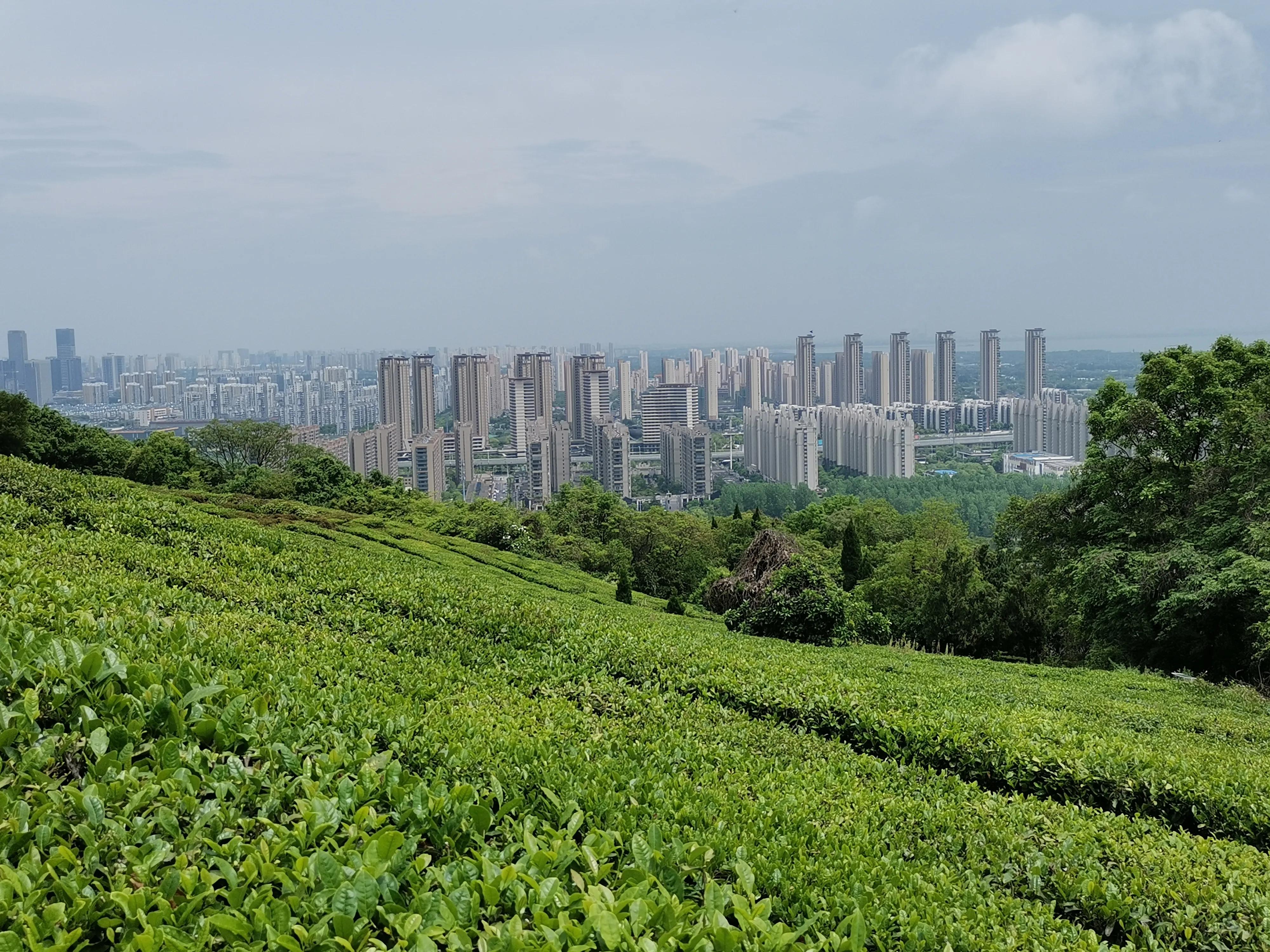 盘龙路军嶂古道爬山攻略,军嶂环线