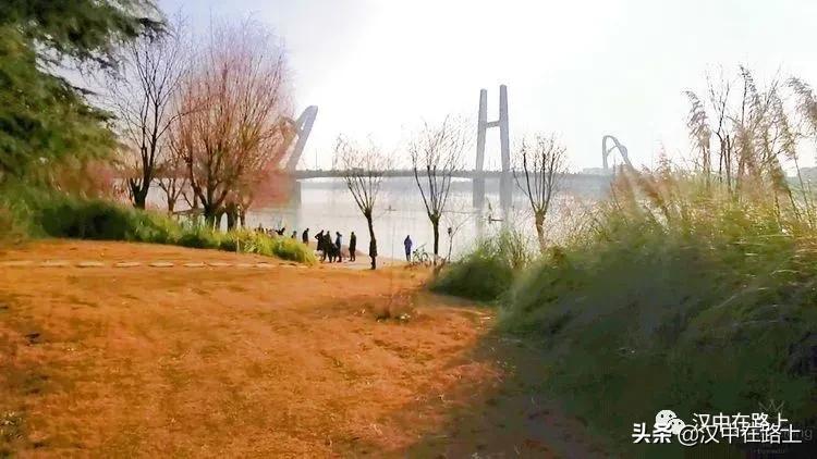 冬泳爱好者低温中畅游泳,泳者无所畏惧