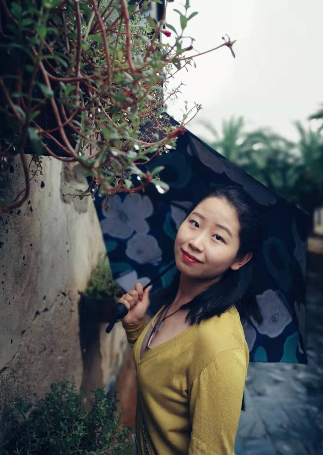 北海是一座令人向往的城市吗,北海是浪漫的城市