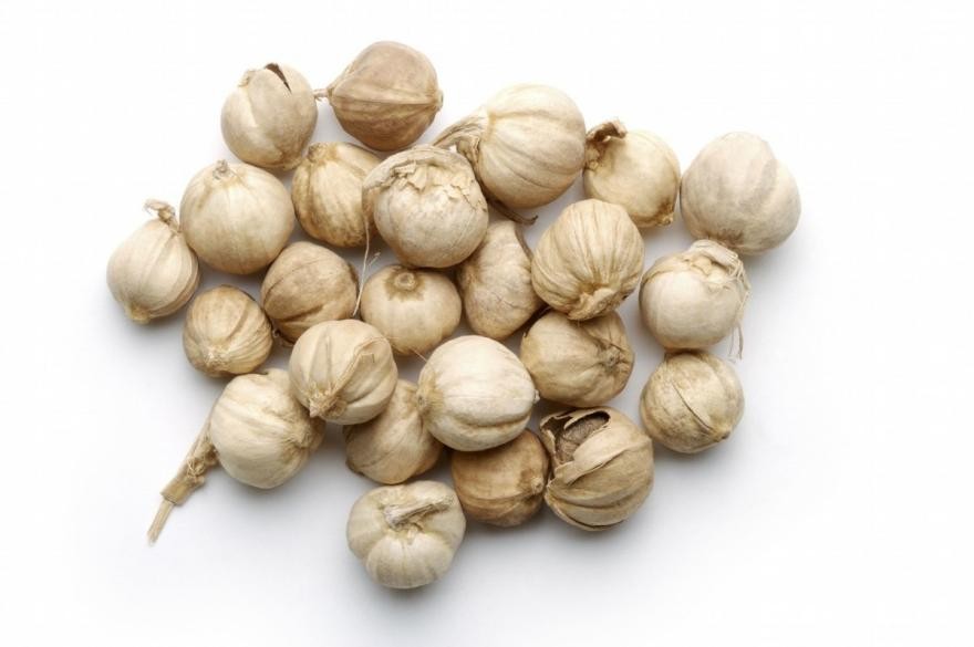 治疗湿热型胆囊炎的药,疏肝利胆治疗肝胆湿热中药方